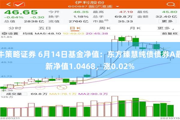 牛策略证券 6月14日基金净值：东方臻慧纯债债券A最新净值1.0468，涨0.02%