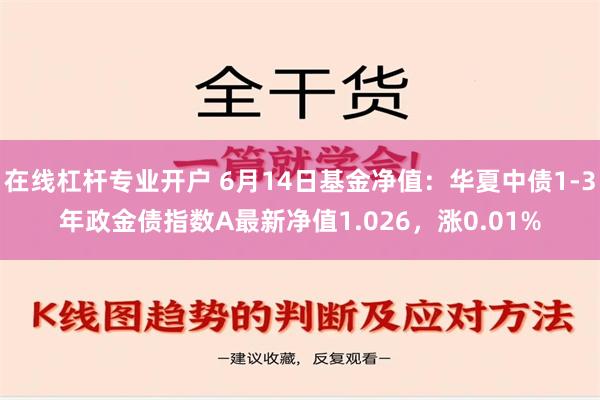 在线杠杆专业开户 6月14日基金净值：华夏中债1-3年政金债指数A最新净值1.026，涨0.01%