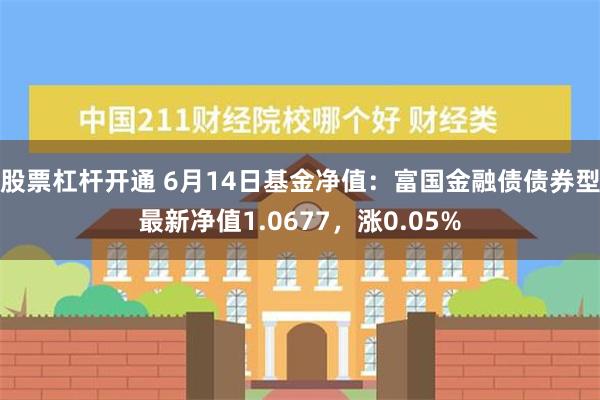 股票杠杆开通 6月14日基金净值：富国金融债债券型最新净值1.0677，涨0.05%