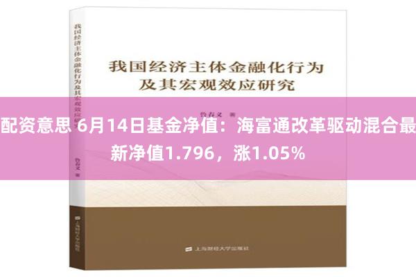 配资意思 6月14日基金净值：海富通改革驱动混合最新净值1.796，涨1.05%