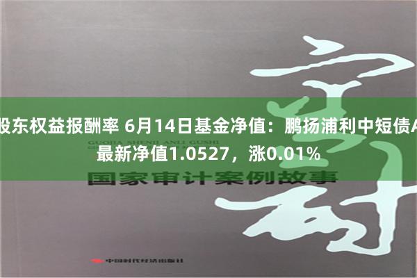 股东权益报酬率 6月14日基金净值：鹏扬浦利中短债A最新净值1.0527，涨0.01%