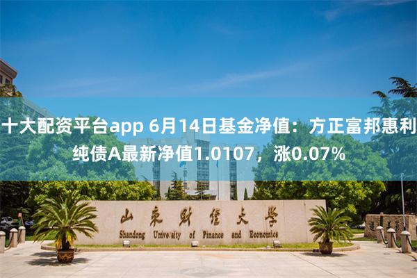 十大配资平台app 6月14日基金净值：方正富邦惠利纯债A最新净值1.0107，涨0.07%