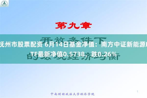 抚州市股票配资 6月14日基金净值：南方中证新能源ETF最新净值0.5738，跌0.26%