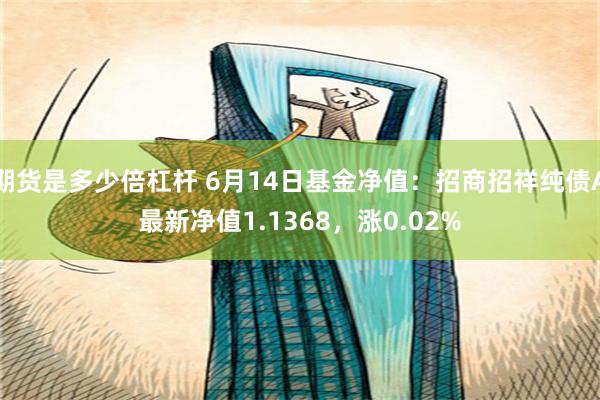 期货是多少倍杠杆 6月14日基金净值：招商招祥纯债A最新净值1.1368，涨0.02%