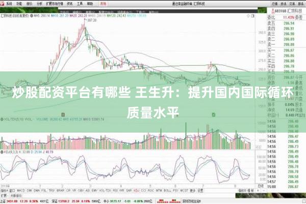 炒股配资平台有哪些 王生升：提升国内国际循环质量水平