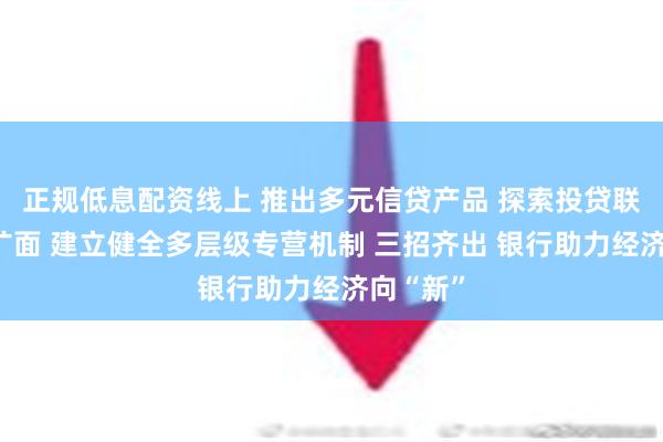 正规低息配资线上 推出多元信贷产品 探索投贷联动创新扩面 建立健全多层级专营机制 三招齐出 银行助力经济向“新”