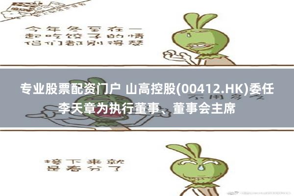 专业股票配资门户 山高控股(00412.HK)委任李天章为执行董事、董事会主席