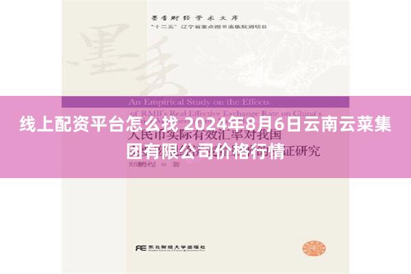 线上配资平台怎么找 2024年8月6日云南云菜集团有限公司价格行情