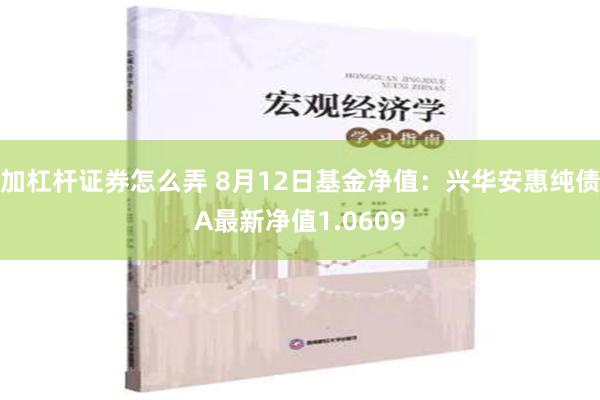 加杠杆证券怎么弄 8月12日基金净值：兴华安惠纯债A最新净值1.0609