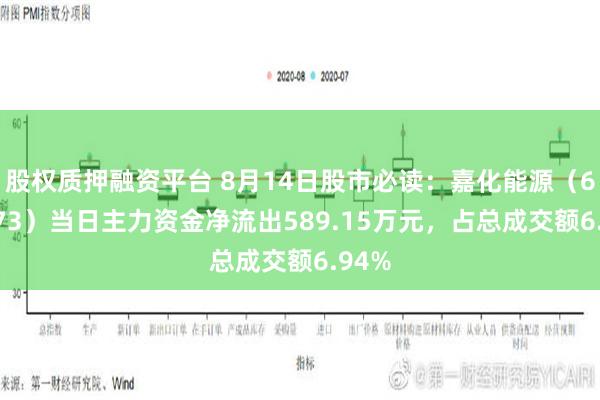 股权质押融资平台 8月14日股市必读：嘉化能源（600273）当日主力资金净流出589.15万元，占总成交额6.94%