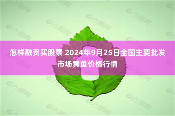 怎样融资买股票 2024年9月25日全国主要批发市场黄鱼价格行情