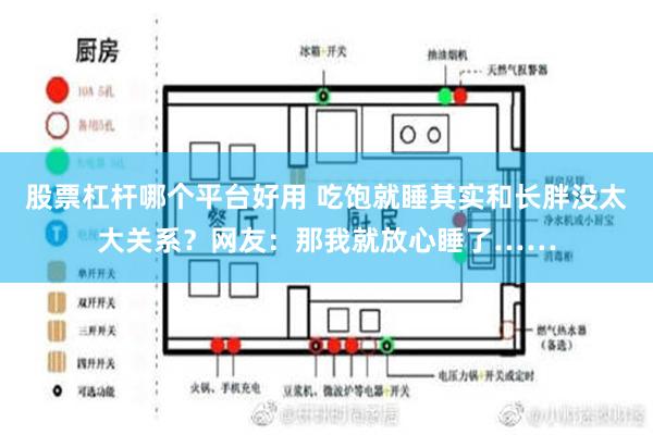 股票杠杆哪个平台好用 吃饱就睡其实和长胖没太大关系？网友：那我就放心睡了……