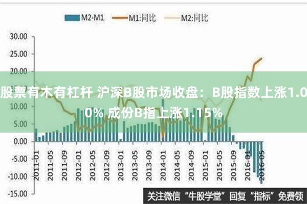 股票有木有杠杆 沪深B股市场收盘：B股指数上涨1.00% 成份B指上涨1.15%