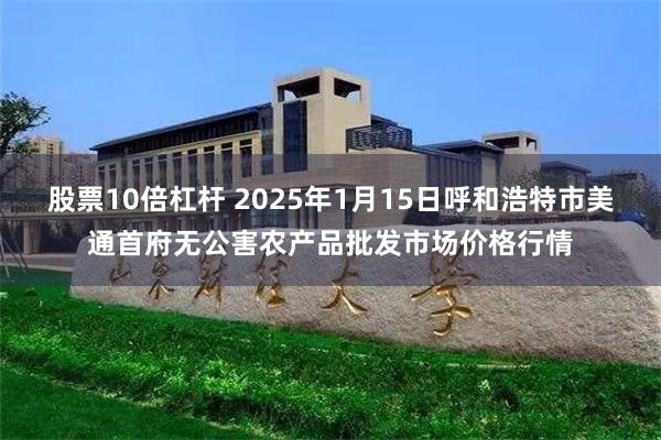 股票10倍杠杆 2025年1月15日呼和浩特市美通首府无公害农产品批发市场价格行情