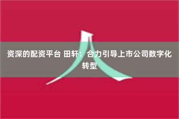 资深的配资平台 田轩：合力引导上市公司数字化转型